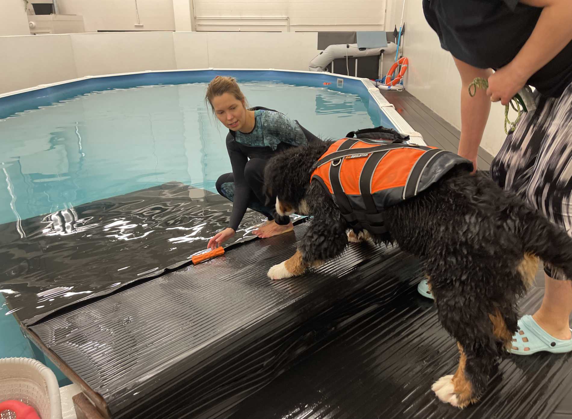 Puppy Aslan learning to swim