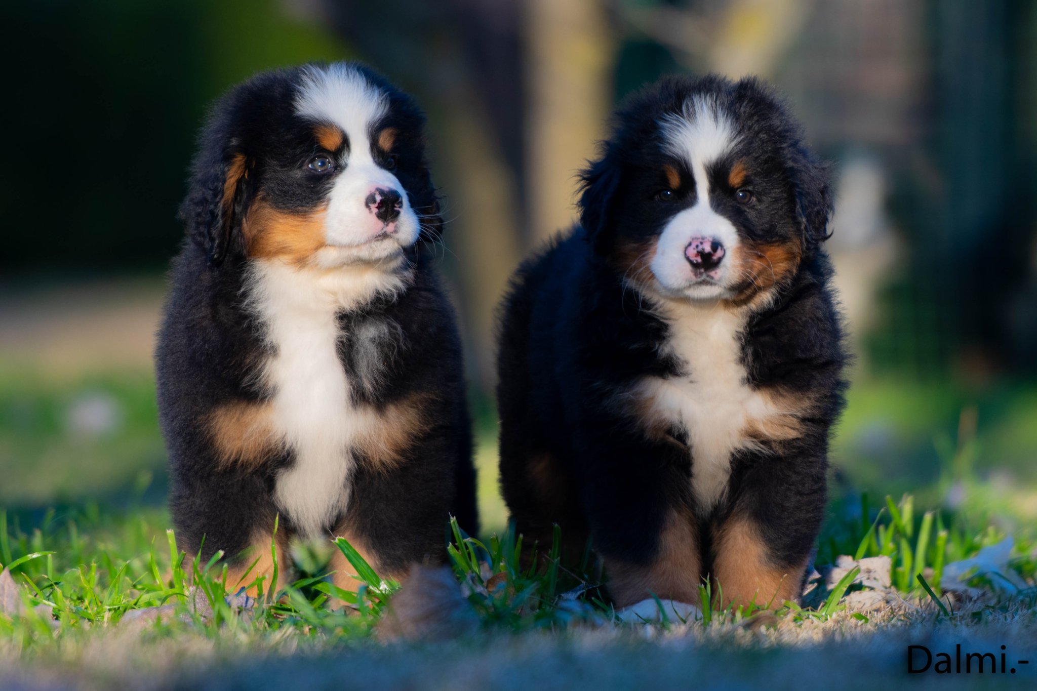 Rá-ona (right) with one of her siblings